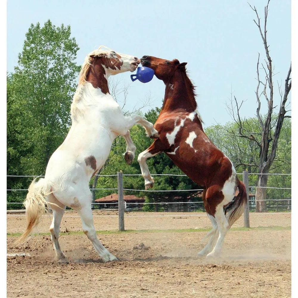 Jolly Ball for Horses