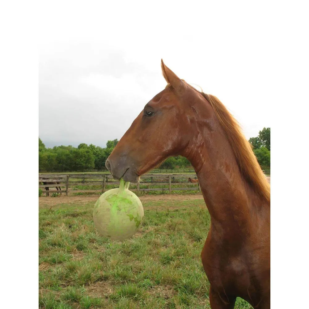 Jolly Ball for Horses