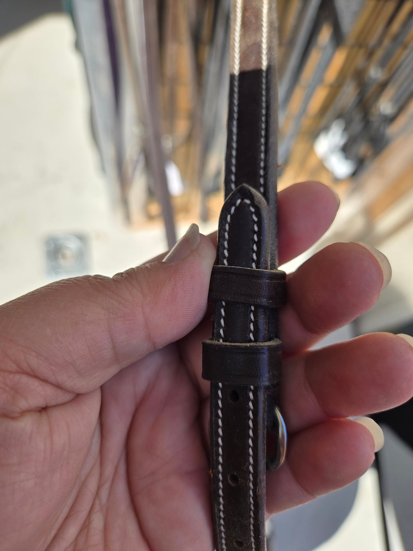 Ovation - Fancy Raised Standing Martingale