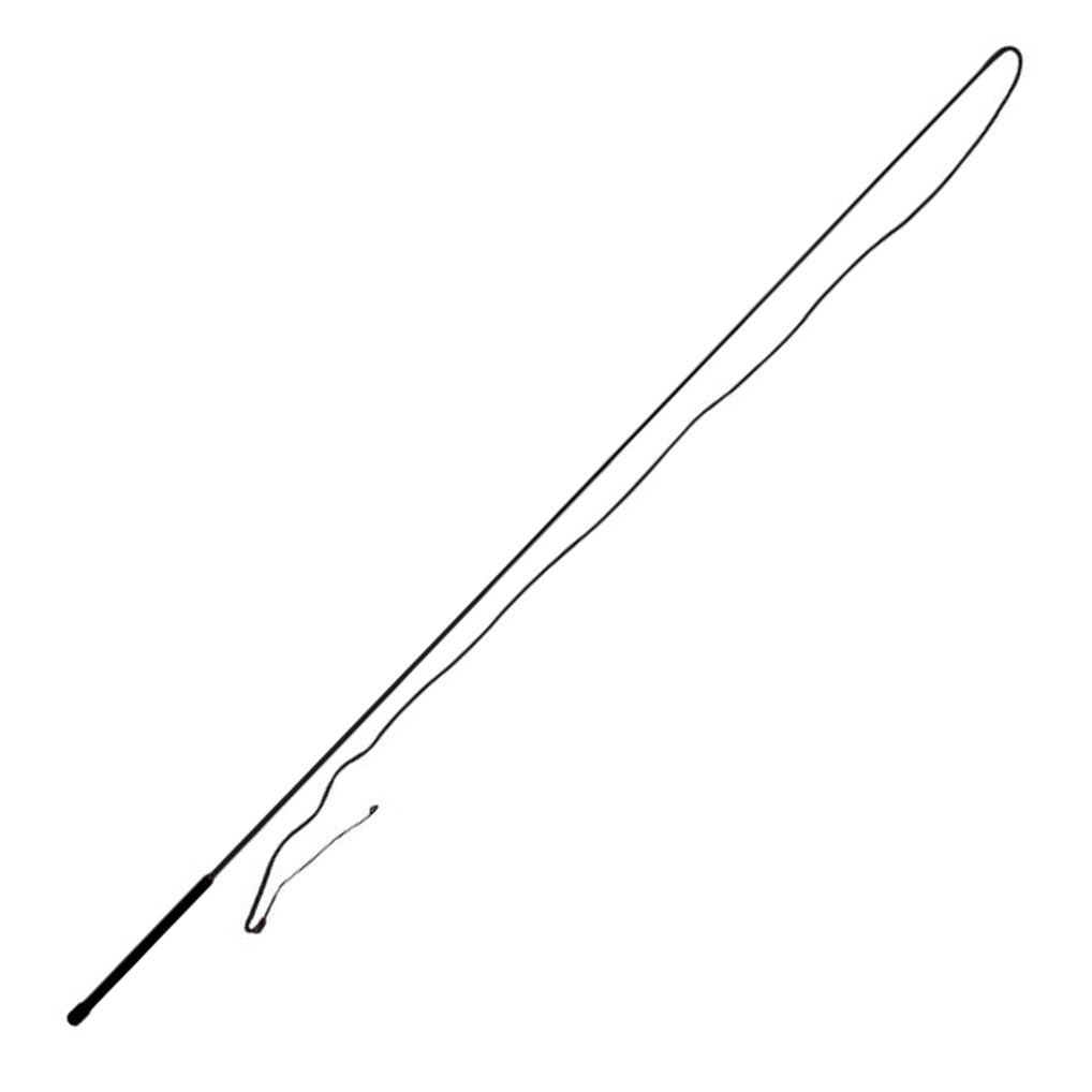 Lunge Whip