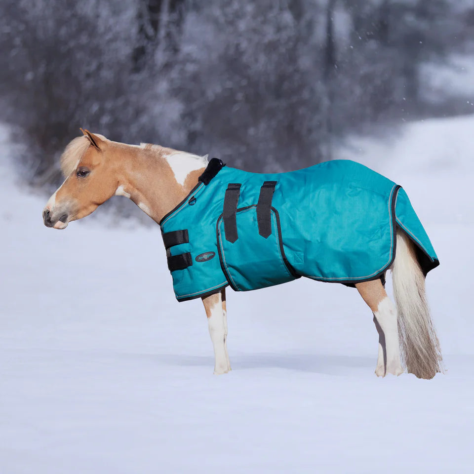 180G Medium Weight Mini Winter Turnout Blanket (Demo)