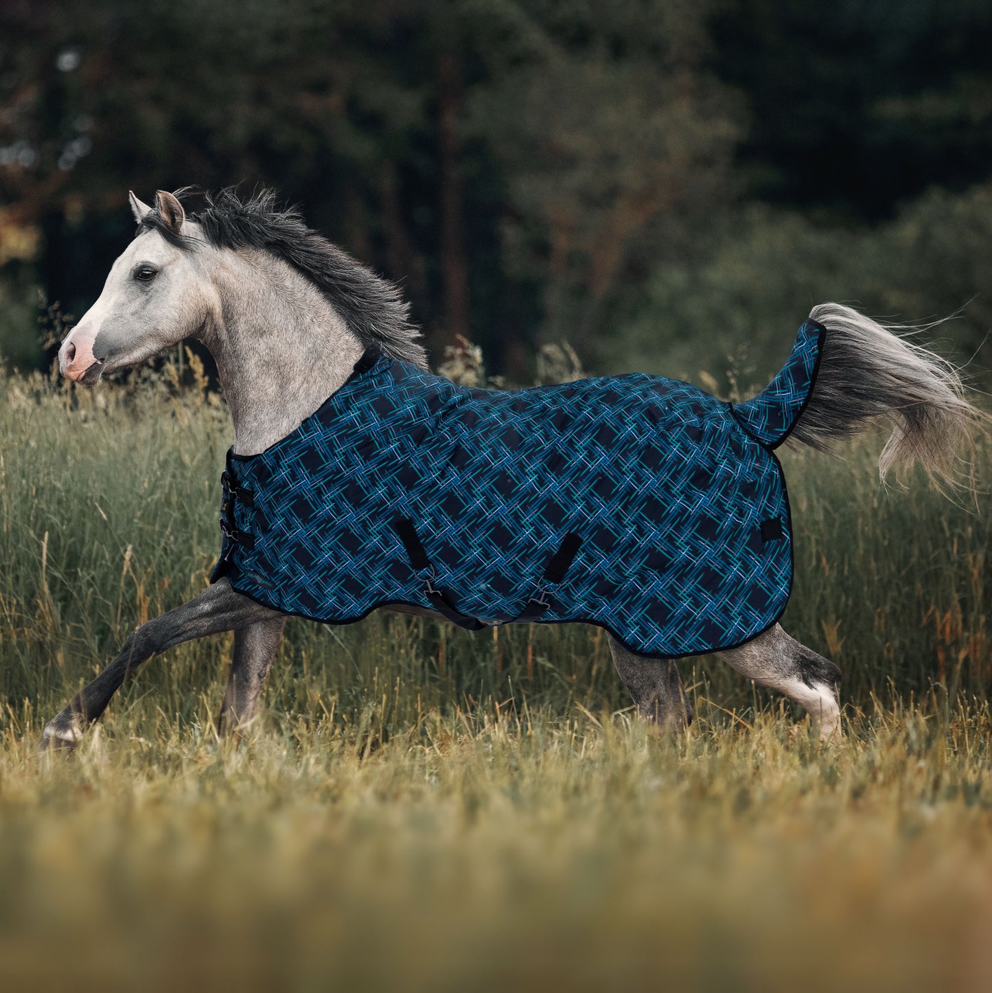 180G Medium Weight Pony Winter Turnout