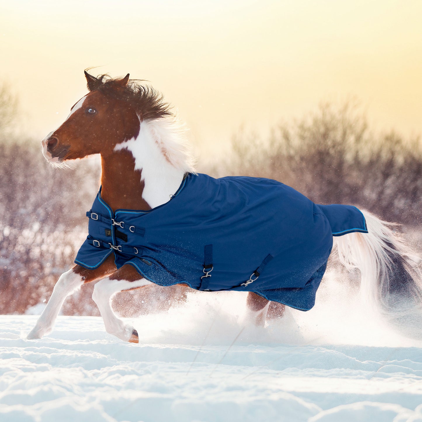 180G Medium Weight Pony Winter Turnout