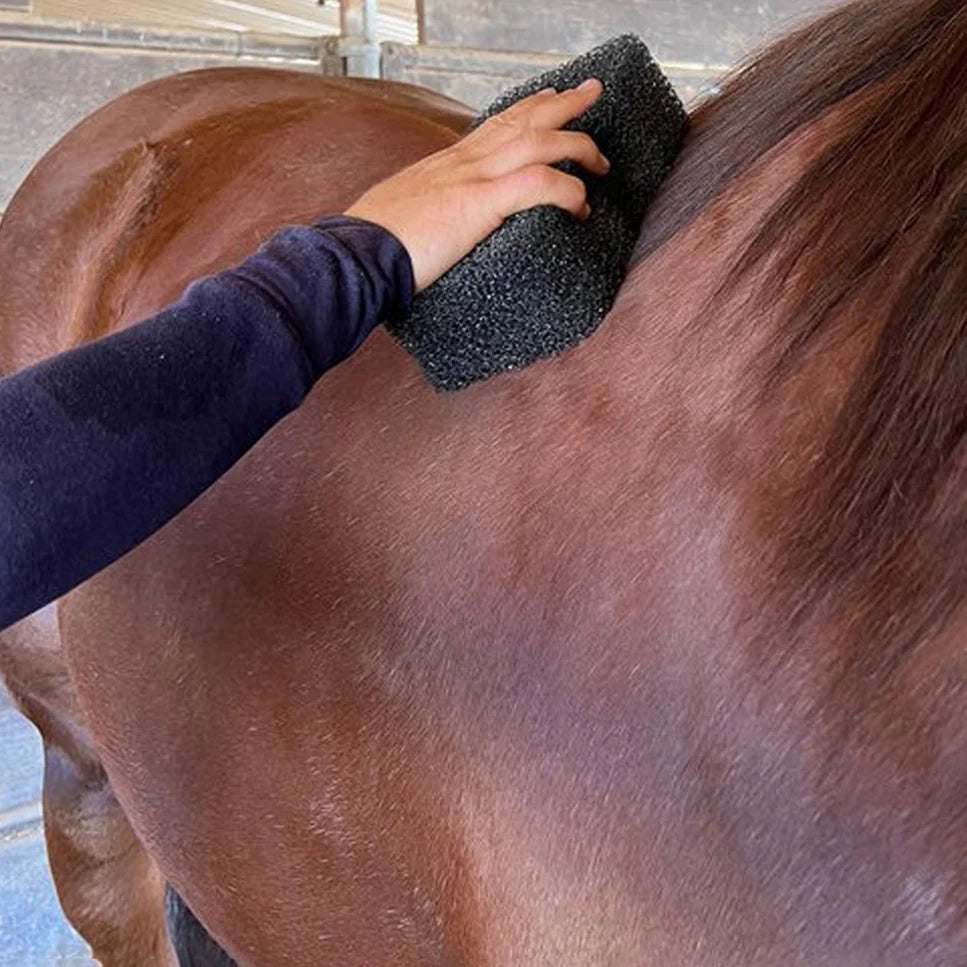 Tiger's Tongue Horse Groomer