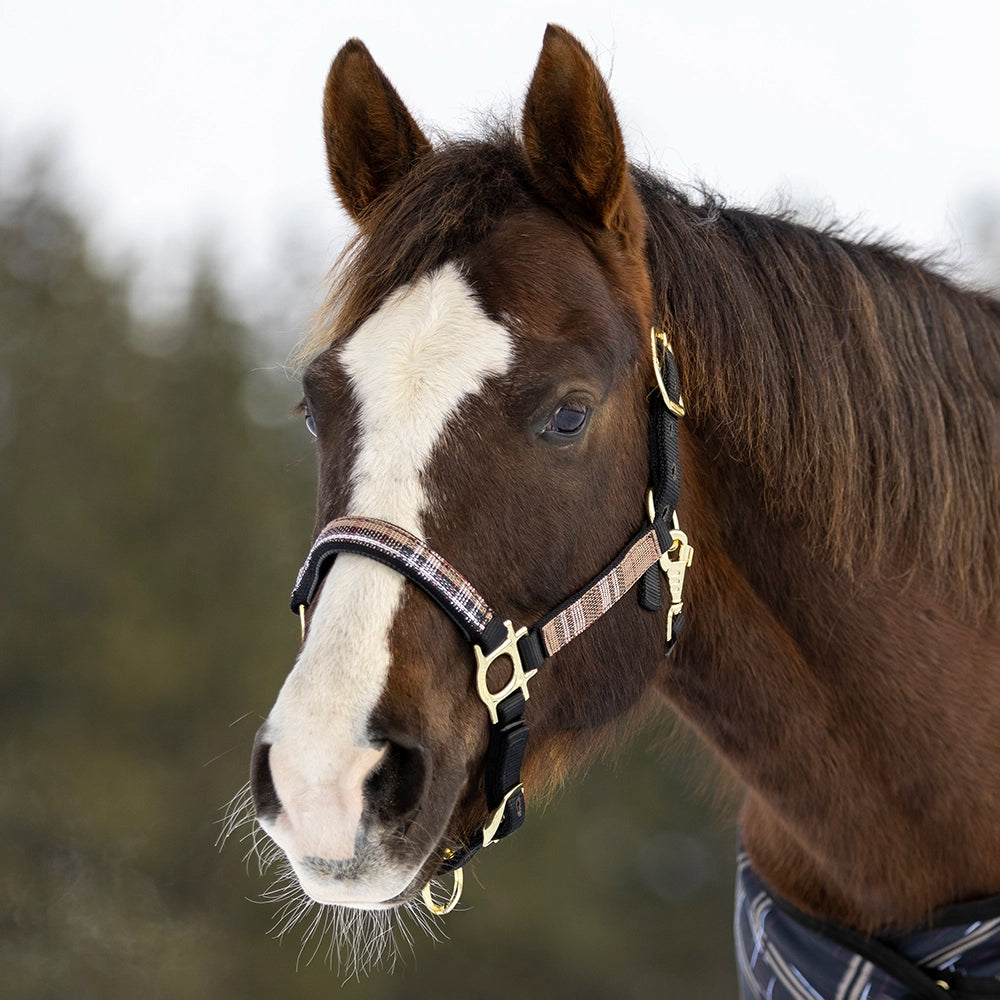 Premium Nylon Halter by Kensington Protective Products