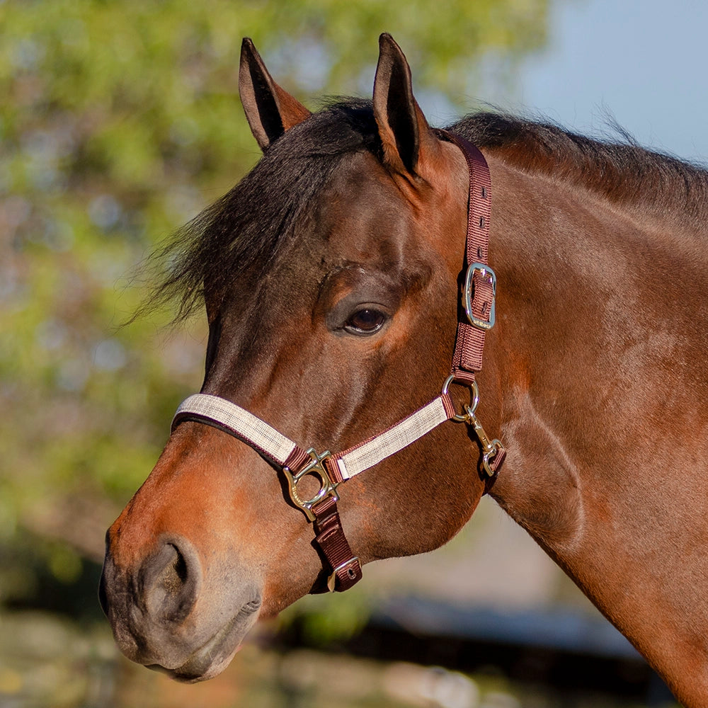 Premium Nylon Halter by Kensington Protective Products