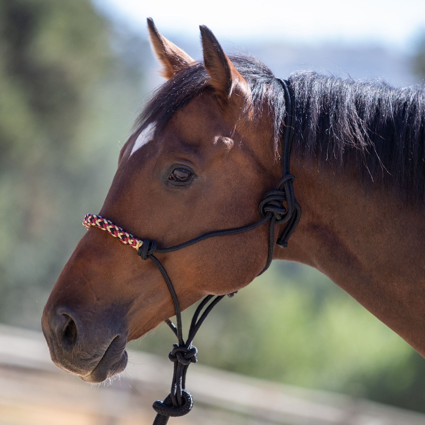 Clinician Rope Halter by Kensington Protective Products