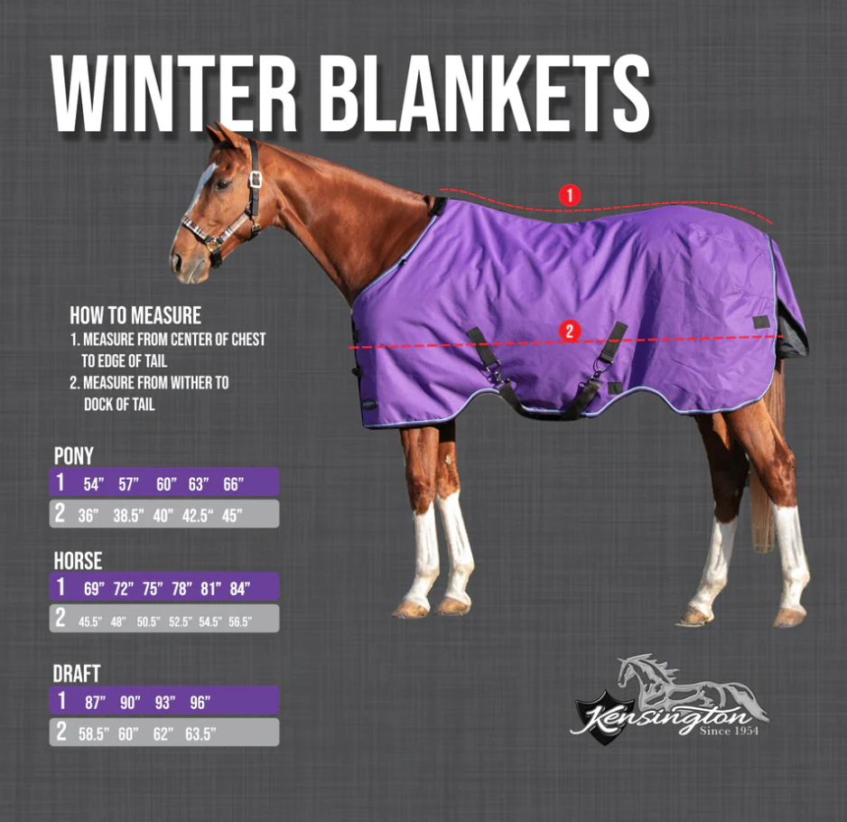 180G Medium Weight Pony Winter Turnout