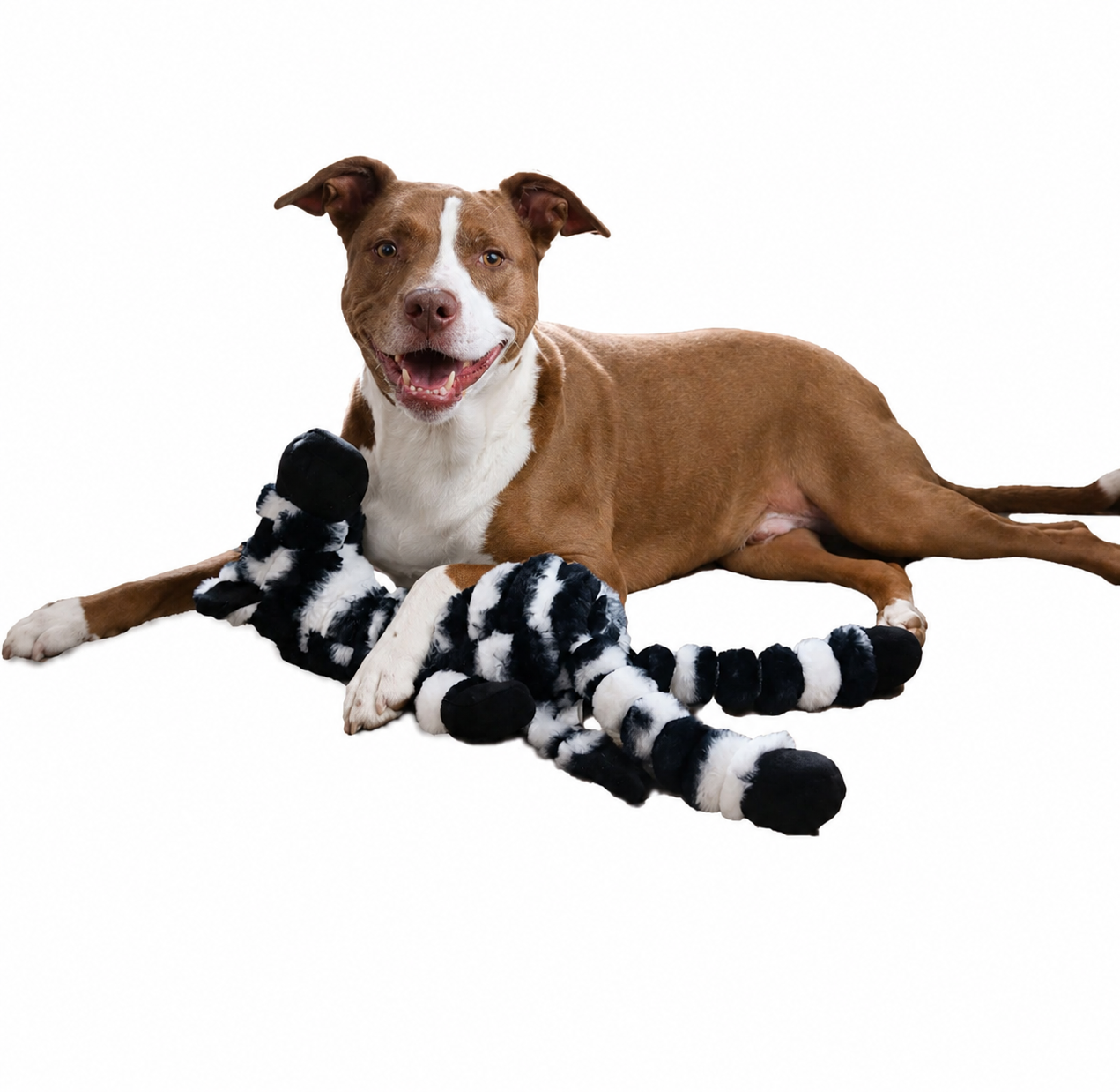 26" Zoo Friends - Zebra
