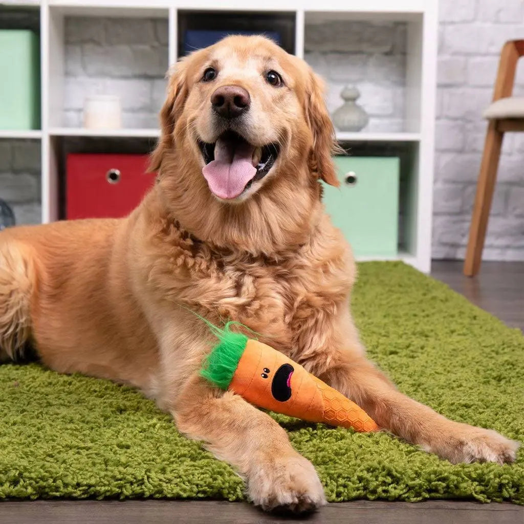 GoDog Orange Tough N Texture Carrot Durable Plush & Textured Silicone Squeaky Dog Toy with Chew Guard Technology, Small