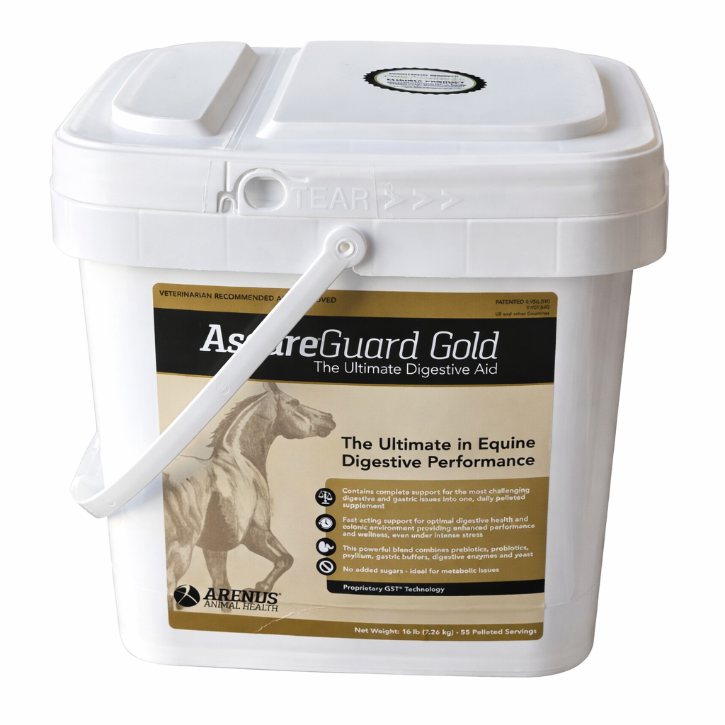 Assure Guard Gold – Advanced Digestive & Immune Support for Horses