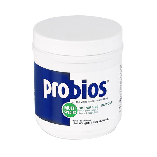 Probios Powder – Digestive & Appetite Support