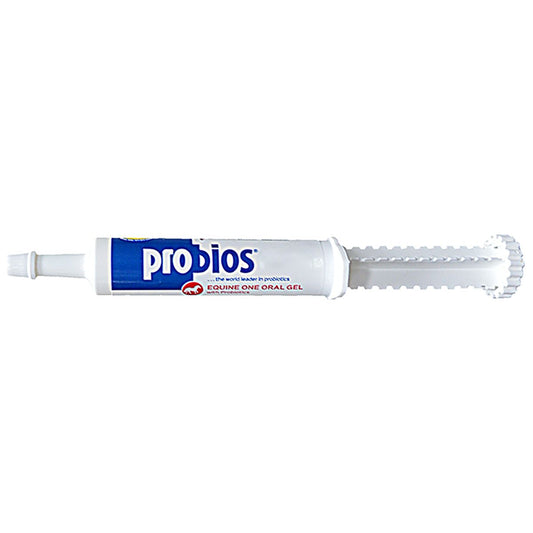 Probios Equine Paste – Digestive & Appetite Support