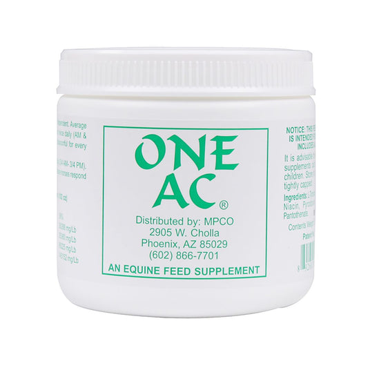 One AC - Nutritional Support for Non-Sweating Horses
