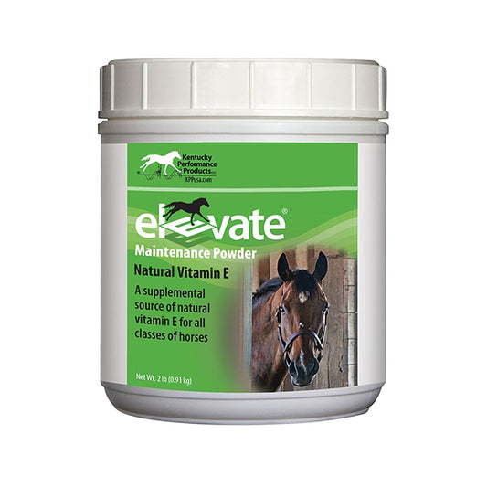 Elevate Maintenance Powder Vitamin E