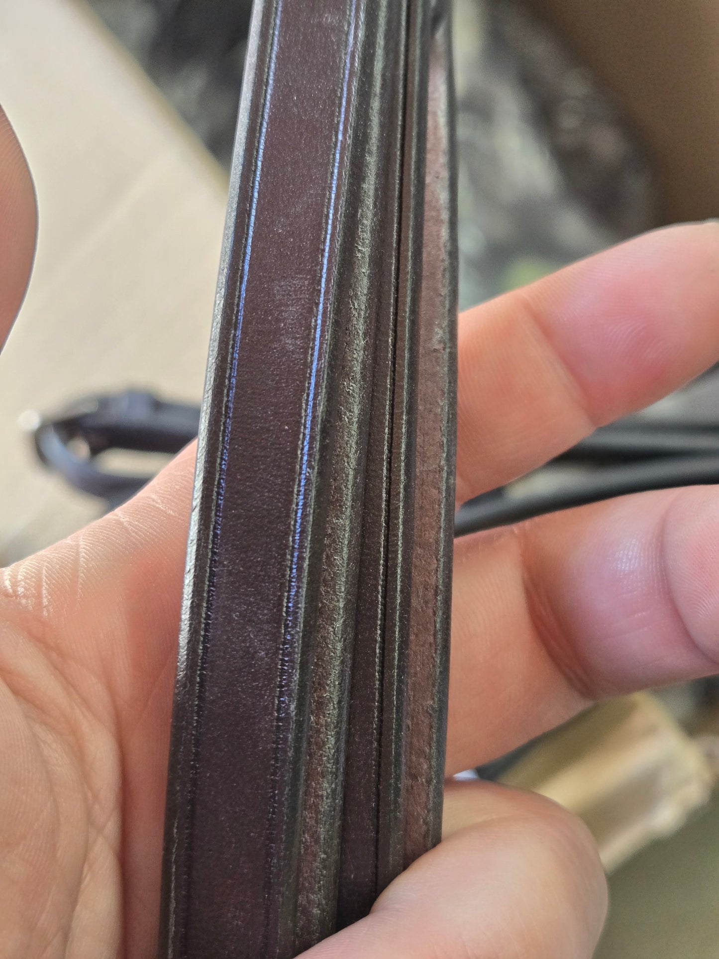 Plain Reins