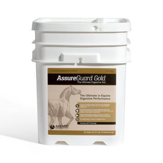 Assure Guard Gold – Advanced Digestive & Immune Support for Horses