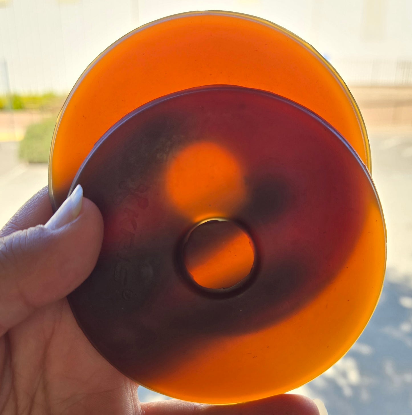 Eco Pure Rubber Bit Guards