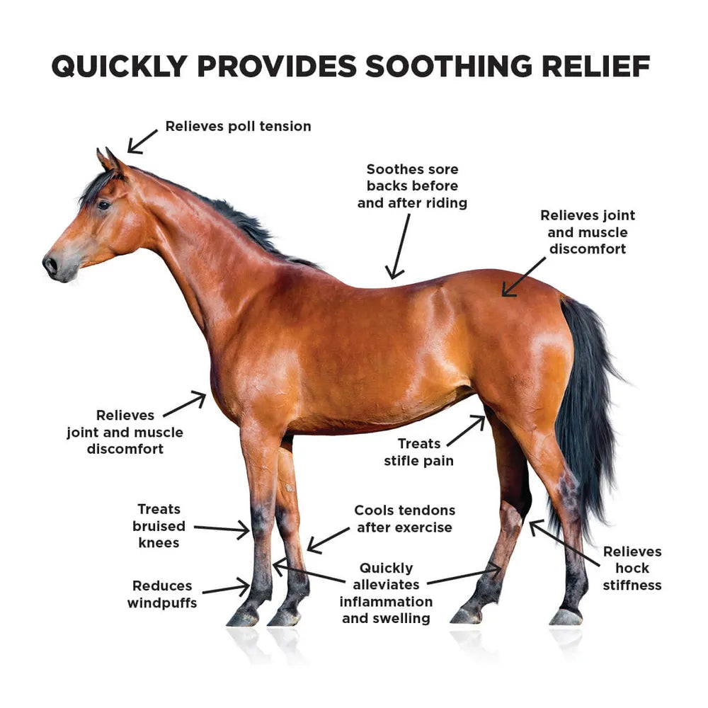 Ice Horse Cooling Liniment + Cold Therapy Extender