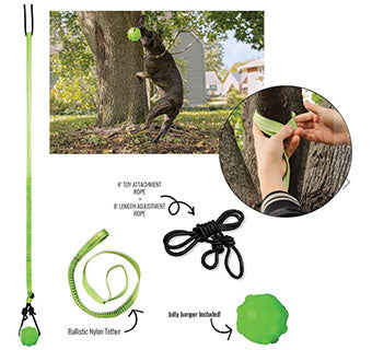 Jolly Pets Tree Tugger For Dogs