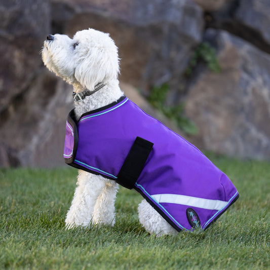 180G Medium Weight Waterproof Dog Coat