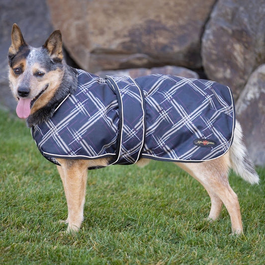 180G Medium Weight Waterproof Dog Coat with Chest Wrap