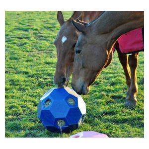 Hay Play Horse Feeder Ball