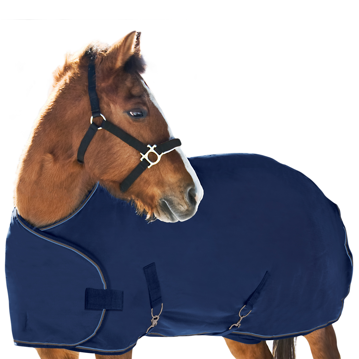 180G Medium Weight Adjustable Yearling Winter Turnout Blanket