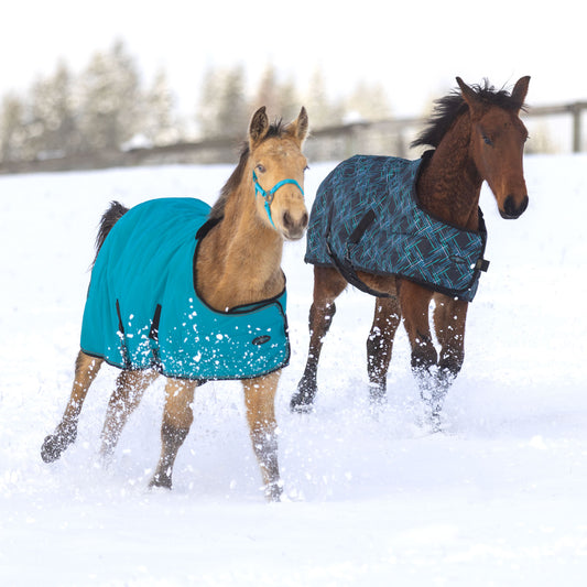 180G Medium Weight Adjustable Weanling Winter Turnout Blanket