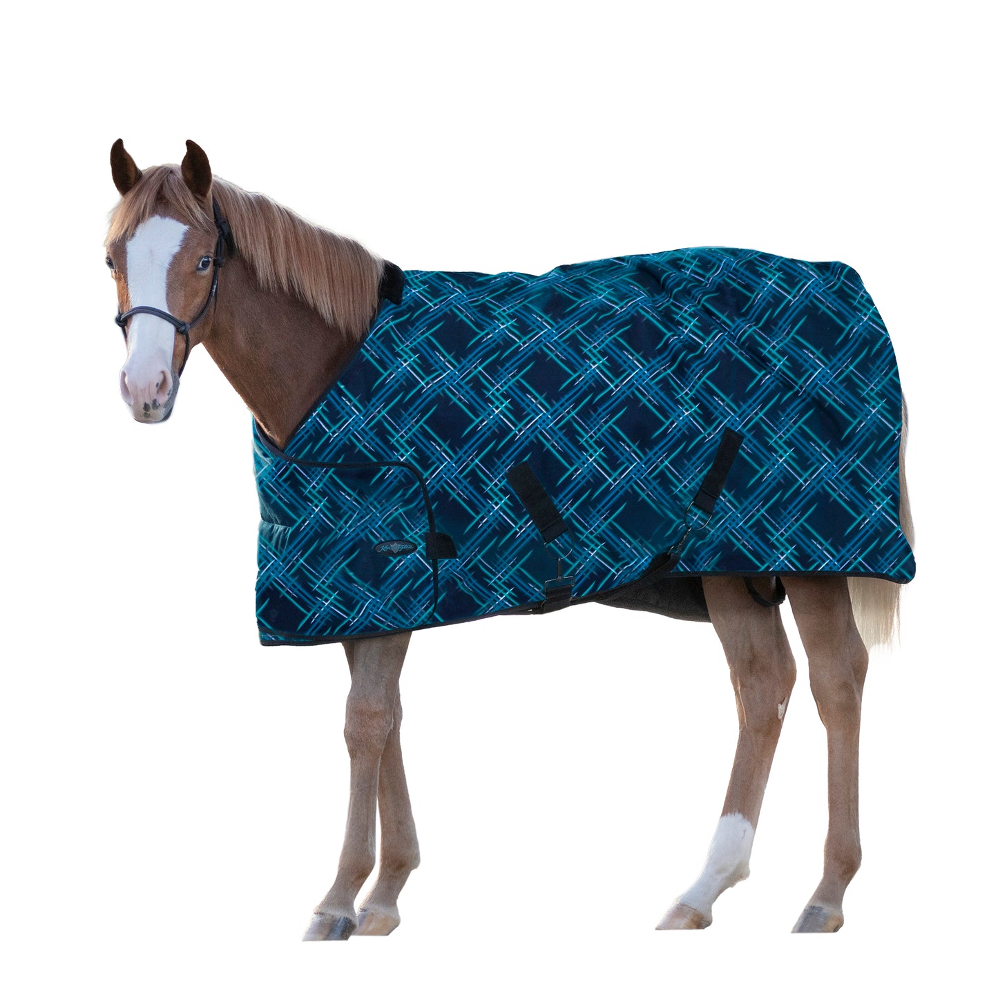 180G Medium Weight Adjustable Yearling Winter Turnout Blanket