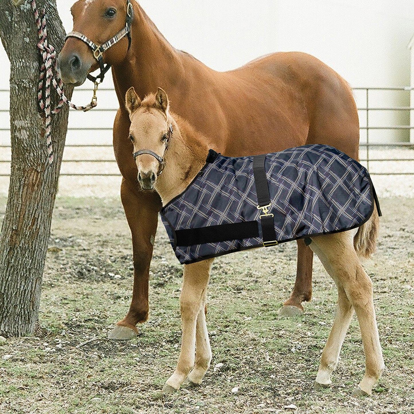 180G Medium Weight Adjustable Foal Winter Turnout Blanket
