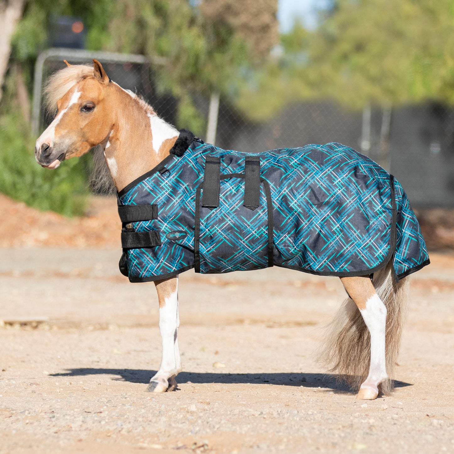 180G Medium Weight Mini Turnout Blanket