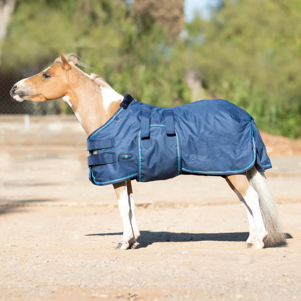 180G Medium Weight Mini Winter Turnout Blanket (Demo)