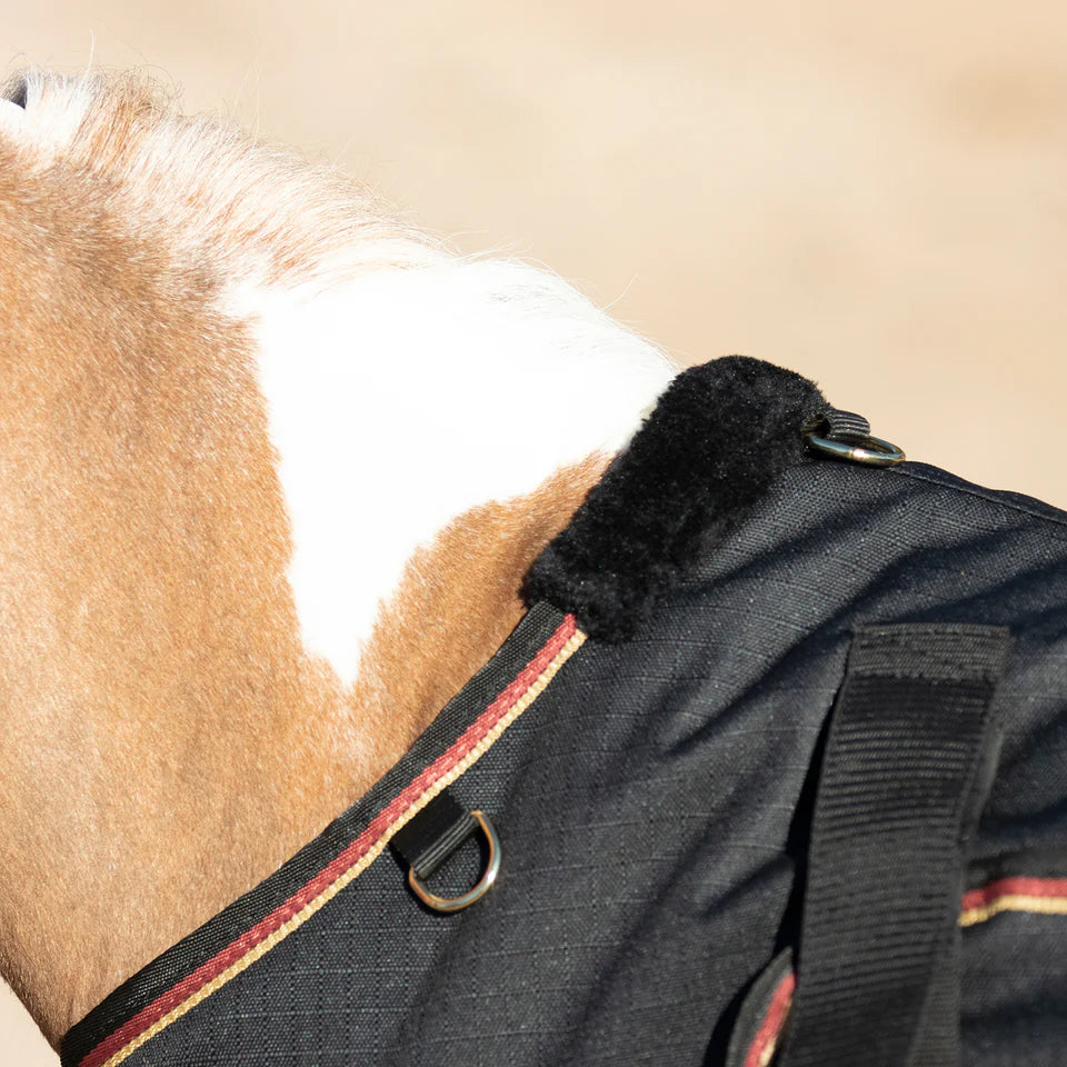 180G Medium Weight Mini Winter Turnout Blanket (Demo)