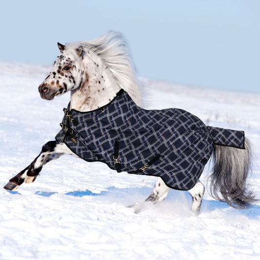 180G Medium Weight Pony Winter Turnout