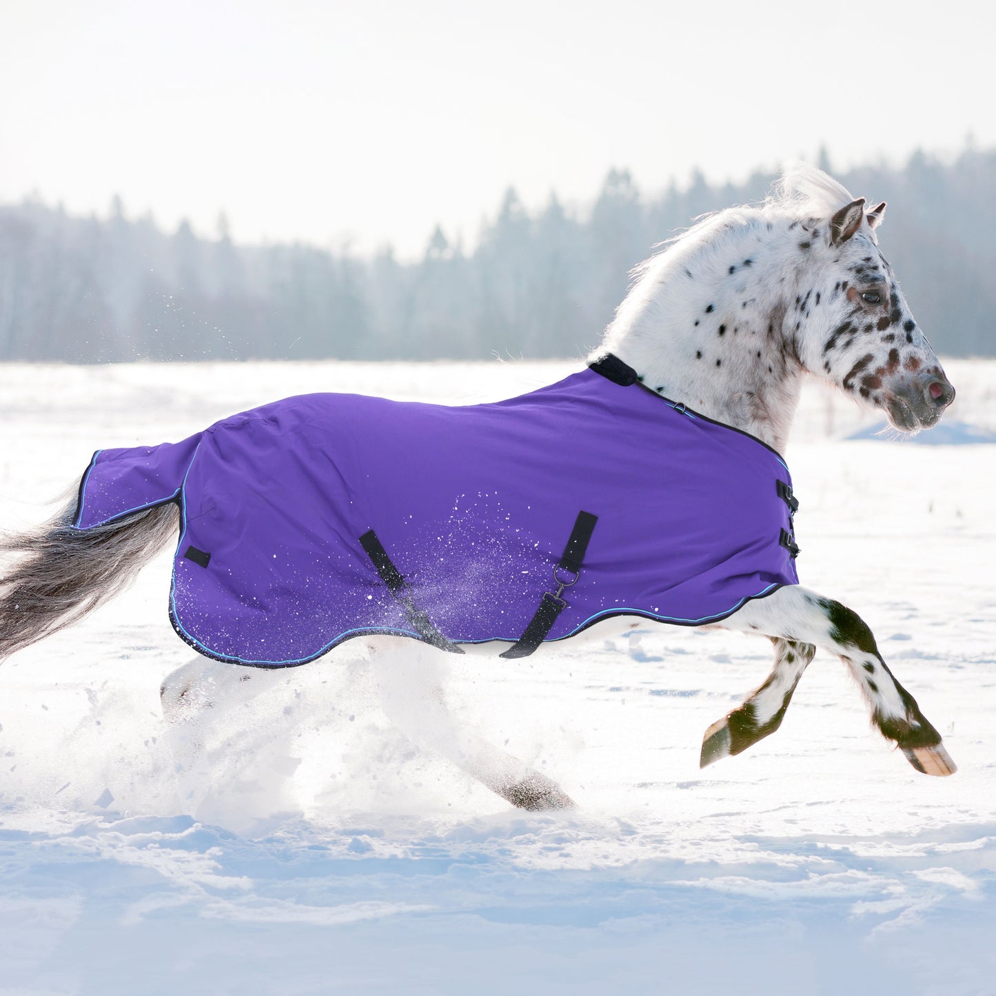 180G Medium Weight Pony Winter Turnout