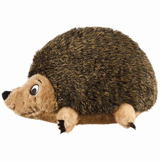Grunting Hedgehog