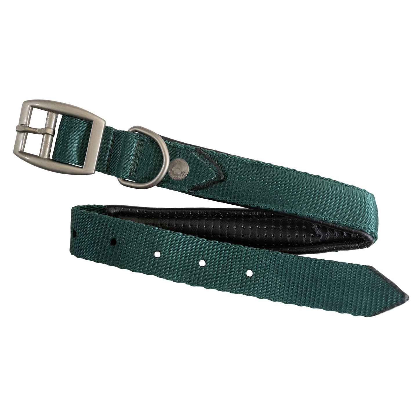 Nylon Dog Collar with Padding