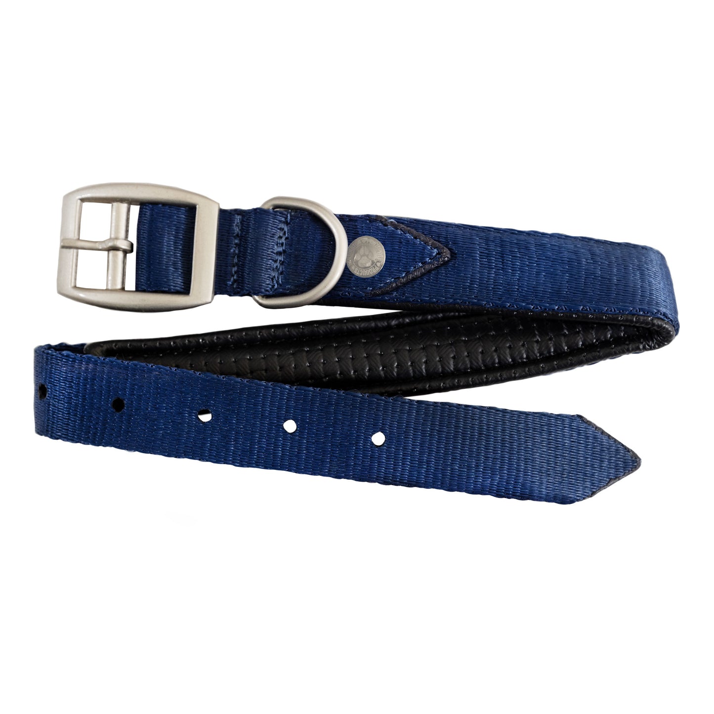 Nylon Dog Collar with Padding