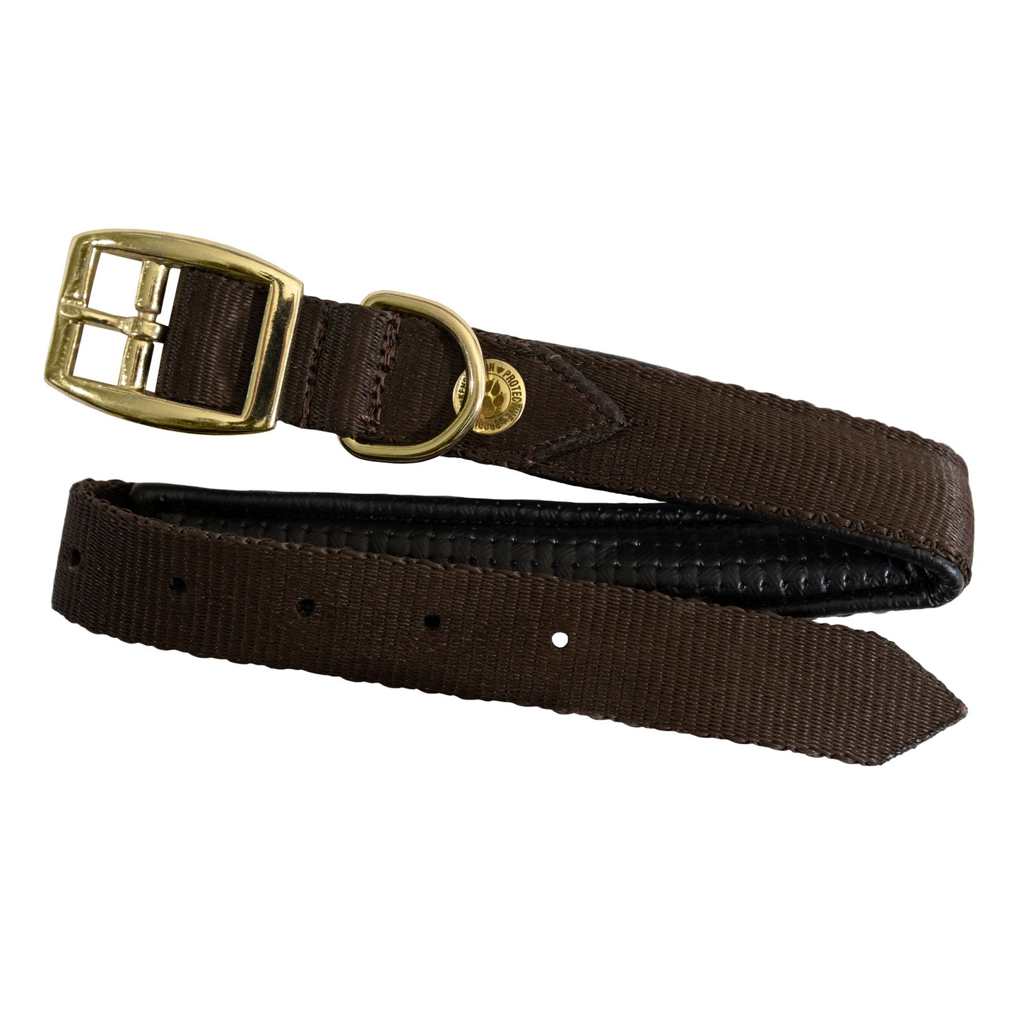 Nylon Dog Collar with Padding