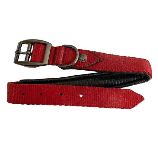 Nylon Dog Collar with Padding