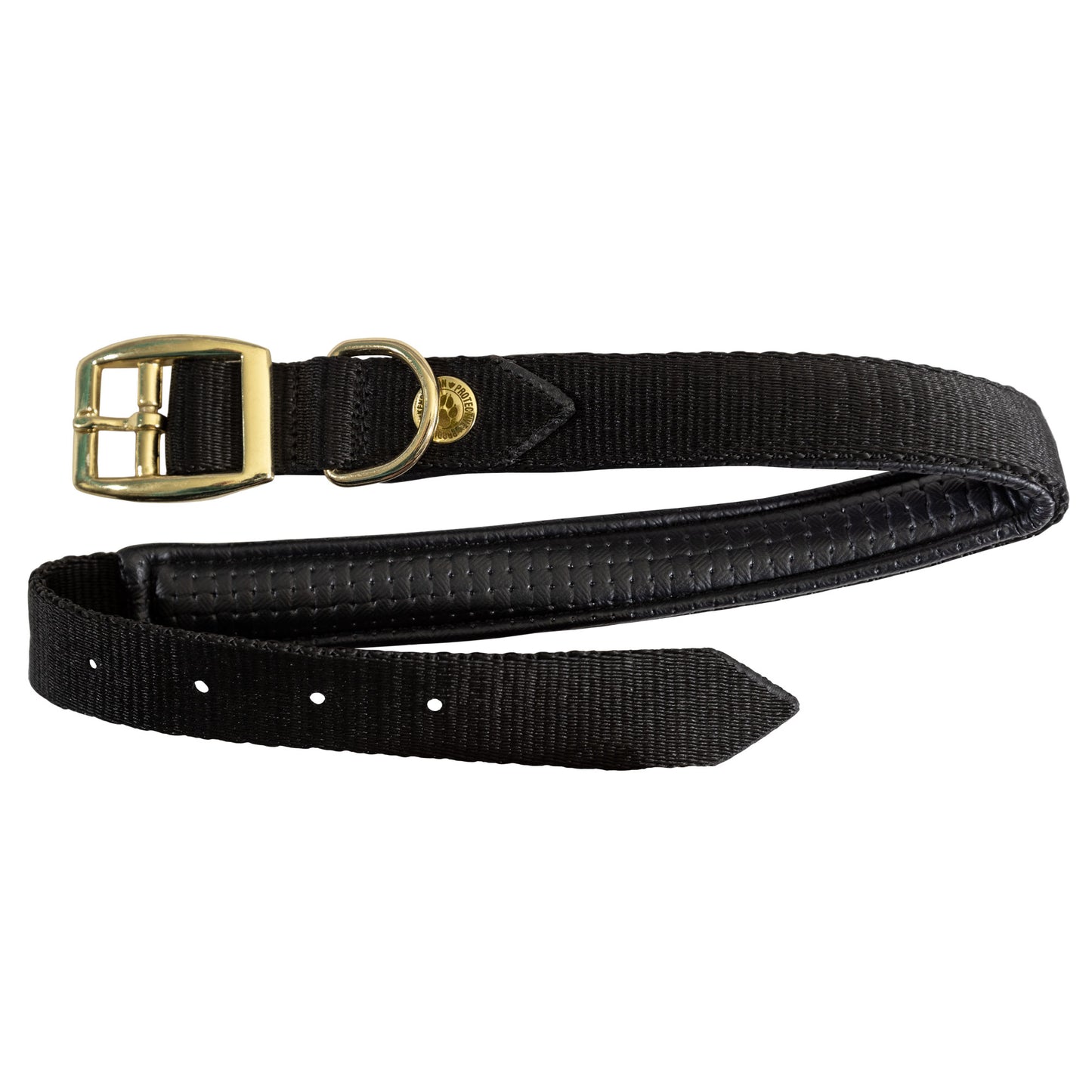 Nylon Dog Collar with Padding