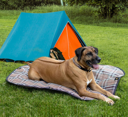 Waterproof Dog Camping Pad