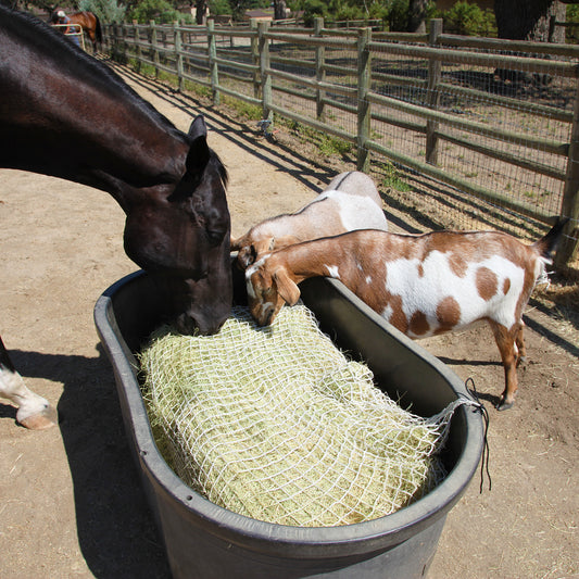 Freedom Feeder Full Bale Net - 3 String Bale Capacity - 3 Slow Feed Mesh Options