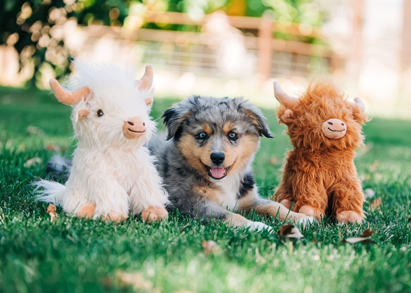 Mini Highland Cow Dog Toy