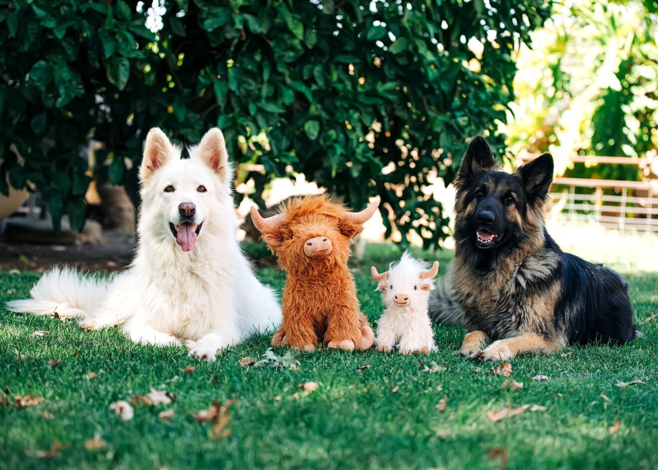 Mini Highland Cow Dog Toy