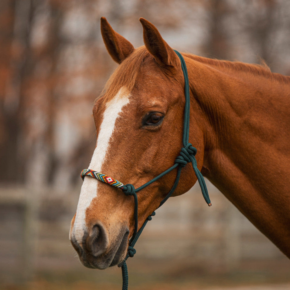 Beaded Rope Halter with 8' Lead