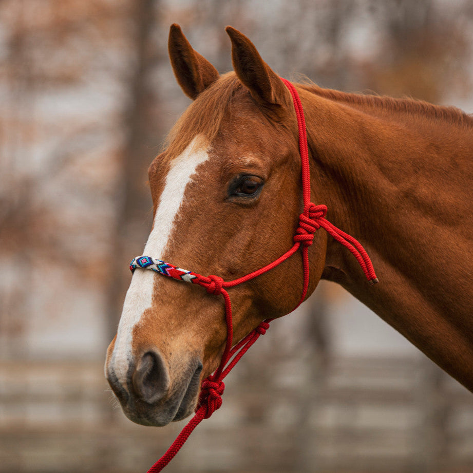 Beaded Rope Halter with 8' Lead