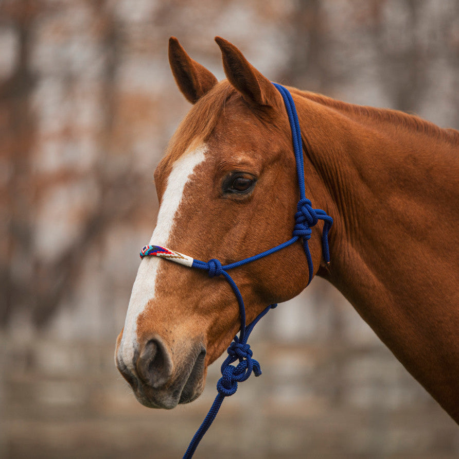 Beaded Rope Halter with 8' Lead