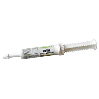 Ramard Total Energy and Stamina